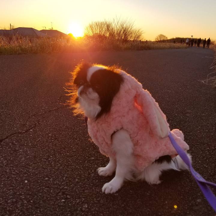 7a237e3a c358 4422 8e01 4de407ec55ba 1672539804423