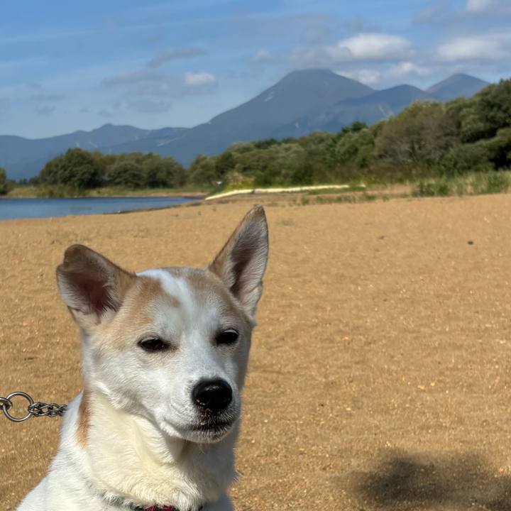 7a239aa8 fd80 414c 9a8e a8cf176db63f 1728995050697