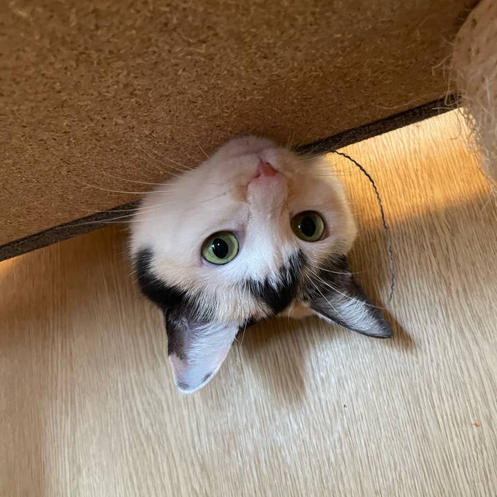 7a23bb7b 5b0f 4a1e a5b6 a16c82823a49 1725236913704