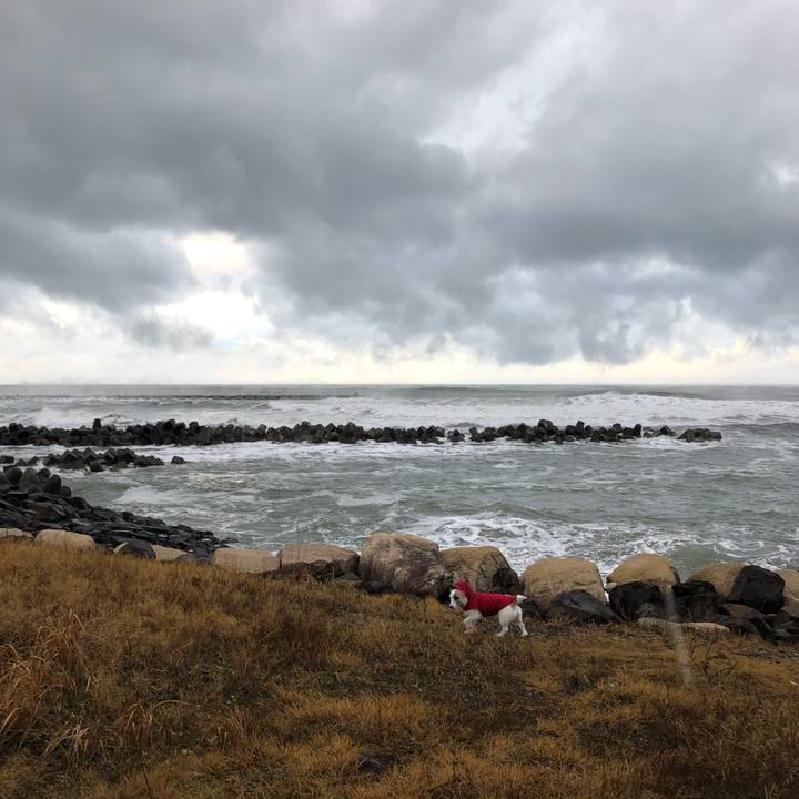 7a23cf1b 1c51 4b7a a4b6 0cfb44b5d634 1608247267120