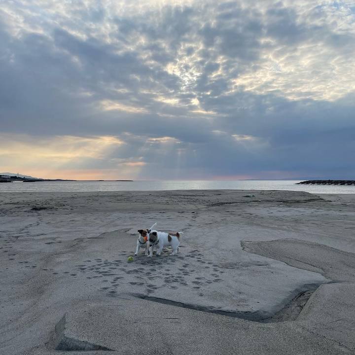 7a23fc17 c3bb 4397 8a61 db054d8c7da3 1646815801819