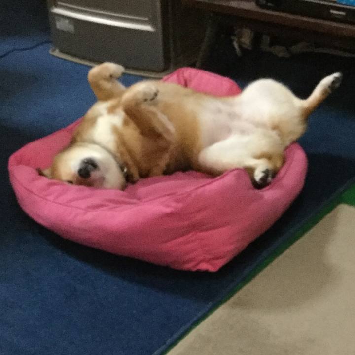 7a240e39 86fa 4fce 9298 1f64761a2cd8 1565164649070