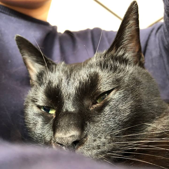 7a24194c 5eea 4265 b9f0 d38939dcf6a1 1710540103817