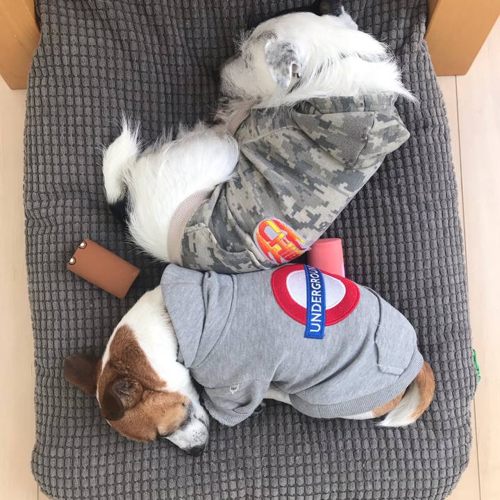 7a241f8d 26ca 48f9 9858 8114294c341c 1543196104528