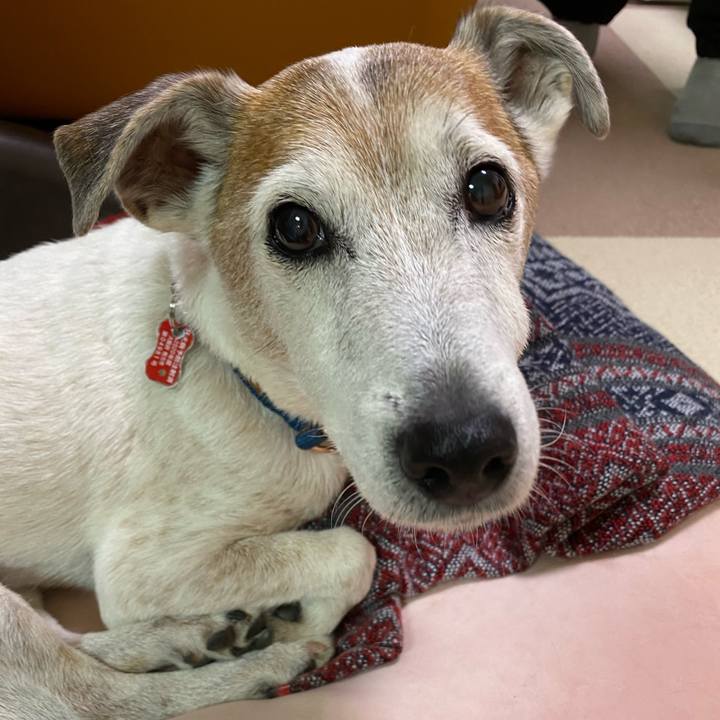 7a24214f 4131 41a4 a438 6fd9c111d386 1610577269031