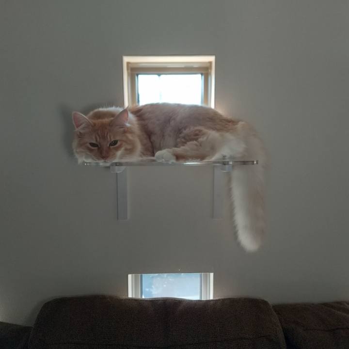 7a242b23 dfcb 49eb 82ac fa682160db3e 1627860094781