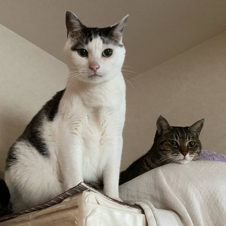 7a242cfe f5ab 4927 a05c 172e17335b74 1767939330754