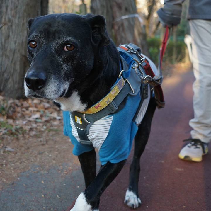 7a24376c d801 4ae4 a6c4 190a14e12d2b 1768436736663