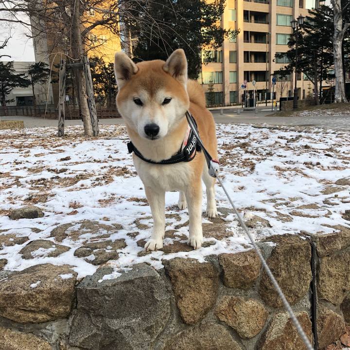 7a249bb0 96f7 4c49 b170 abbe02baecd3 1577234829838