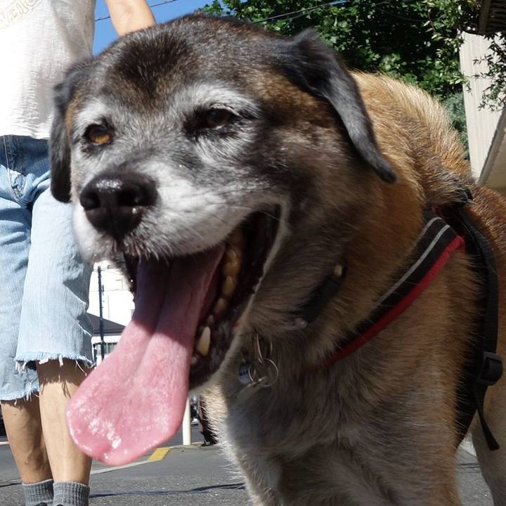 7a24b2e3 e333 4ea2 ad5d a37f95976cd4 1615854955114