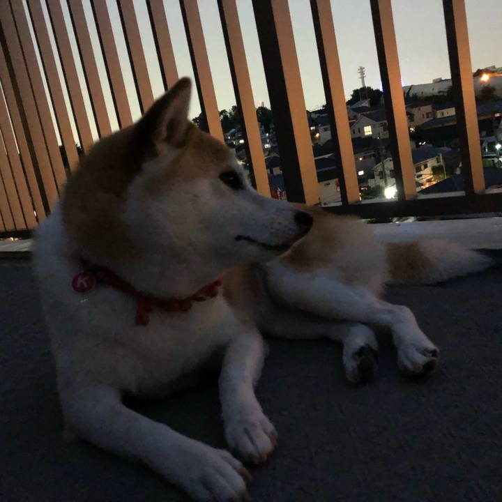 7a24eefe 0ff8 4c9d 987c 000dfbe4e00c 1560943310770