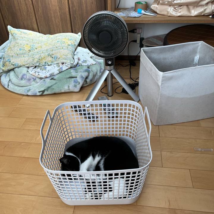 7a2507c2 c0b6 4864 8886 be14d2389c35 1690245037465