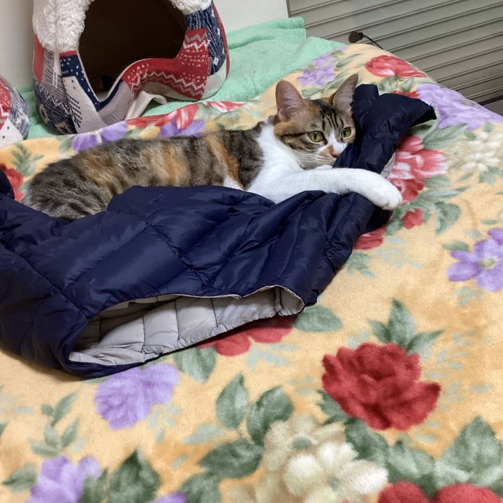 7a25137a 3cb6 4722 ab9b 149cd18c29b0 1669985226025