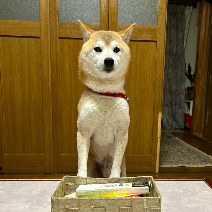 7a255731 0818 4e20 910f 2b5e50c1cf5f 1710241501209