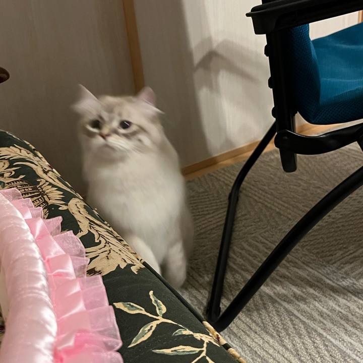 7a256548 e961 4cb8 85c6 57198c741fc3 1720007681198