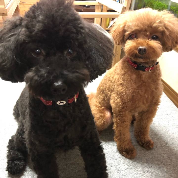 7a257f6f 39a7 4de5 8e12 abab6df2c754 1598082782643