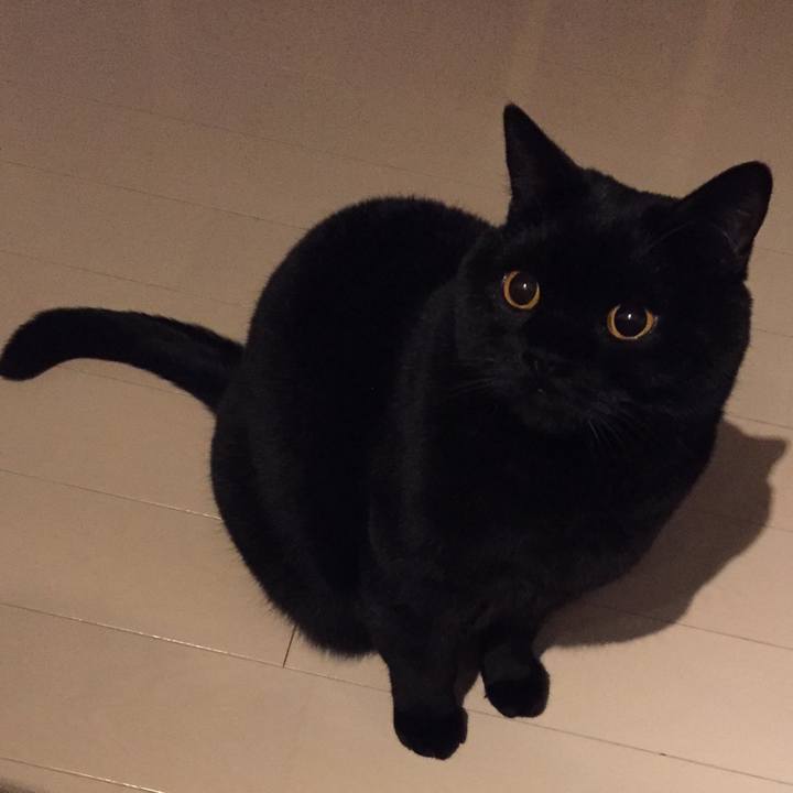 7a25bee8 6247 4548 88d6 4033b05703f6 1585658191275