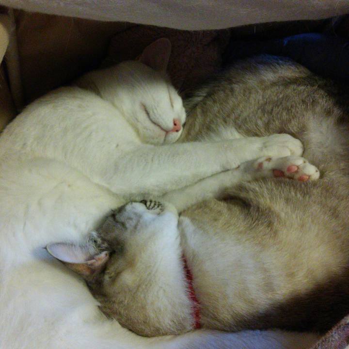 7a25ca9f ec81 4cdd ace3 96bb5c652af4 1519556652769