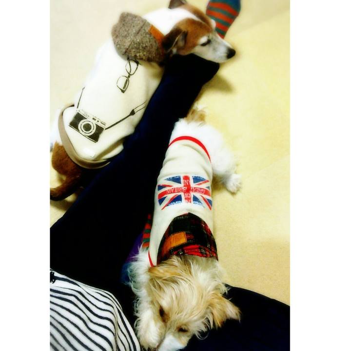 7a25d3f4 e393 4538 ae62 cc8d80272cb7 1509787449755