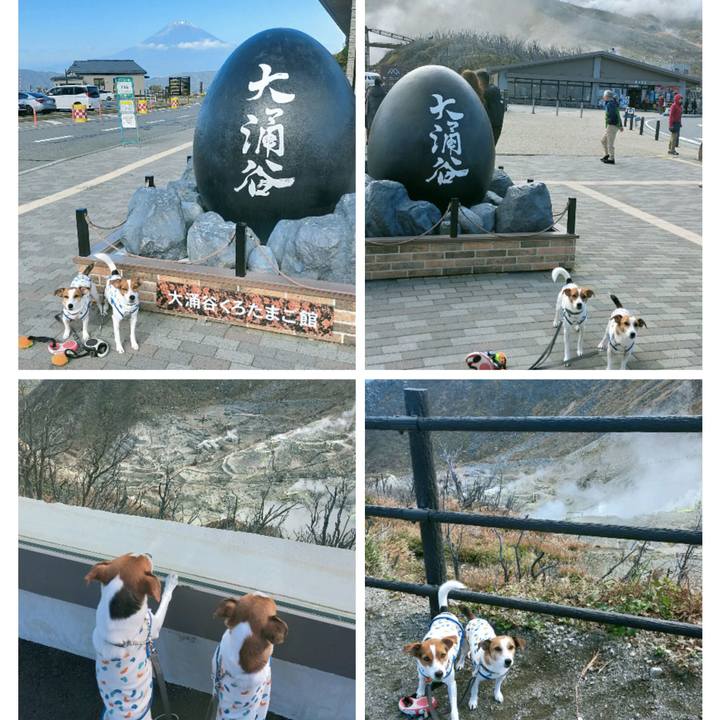 7a25e521 275d 4edf b74a 7535e878a1c2 1761811249519