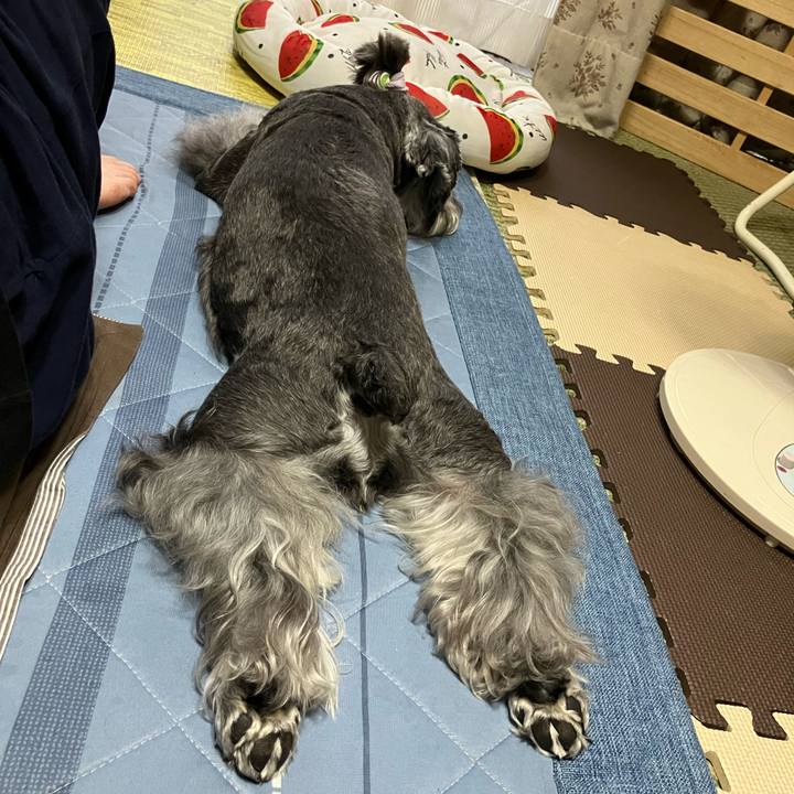 7a25e9a9 98dc 4e6e 8532 27352def769d 1725083925625