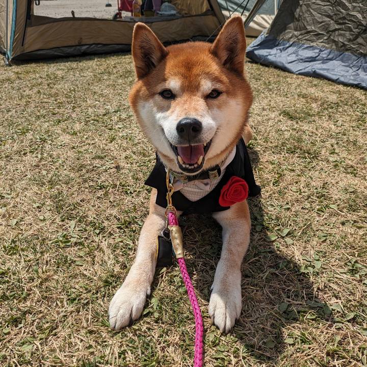 7a25ed6a 3355 4b5a 92a1 b7d4a6d89fef 1713191060069