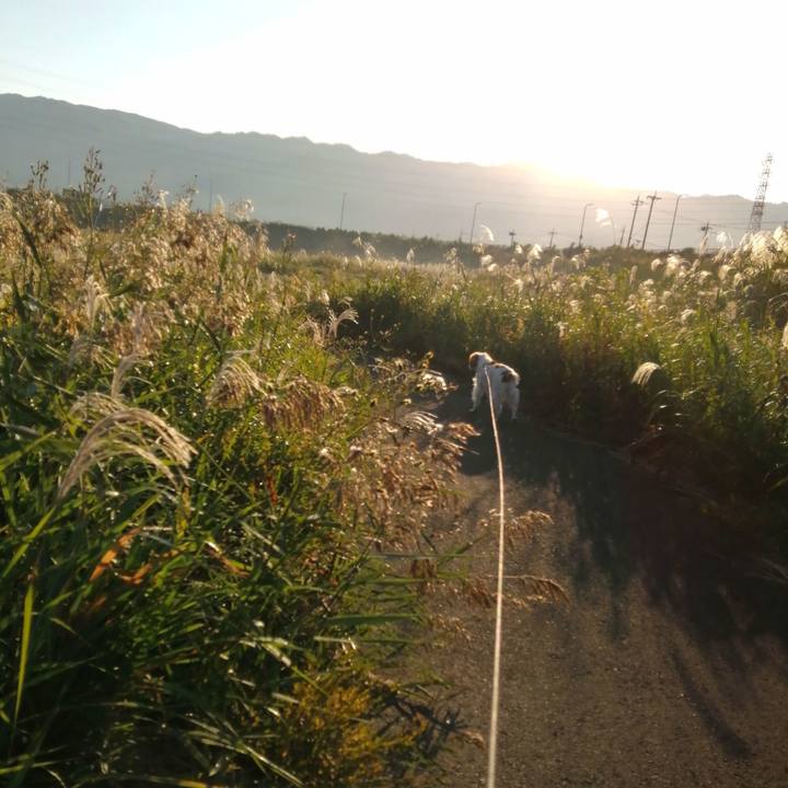 7a2621d1 95ca 4f82 828d 4e8153e6520e 1603682317970