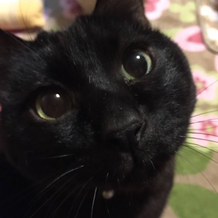 7a264230 d8e4 4046 8f21 dde760eb1546 1516016224775