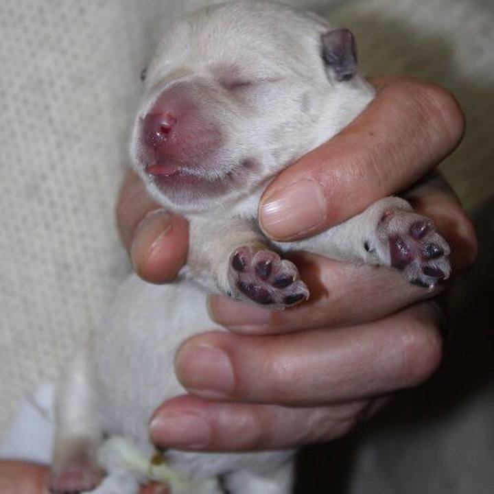 7a2663e3 df24 49c7 8187 6e3b45ae1f2a 1522236518051