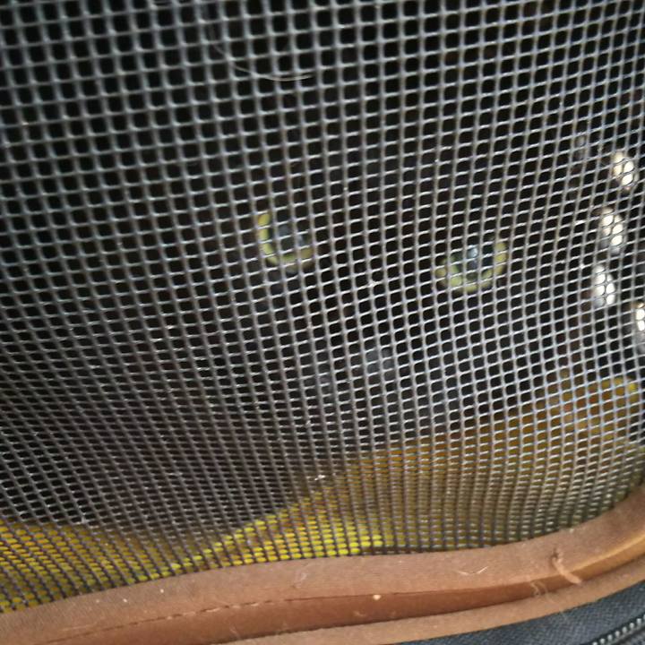 7a2666fd 5ded 40ad a8e4 37c8c24bae7a 1549331942367