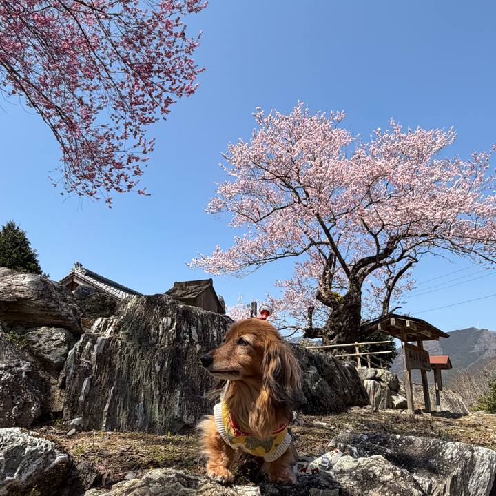 7a269c51 ec61 4e0e abb7 a8a5f8bb0172 1774065571373