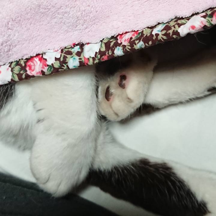 7a271184 707d 4785 be15 1958abd2fb69 1655294365642