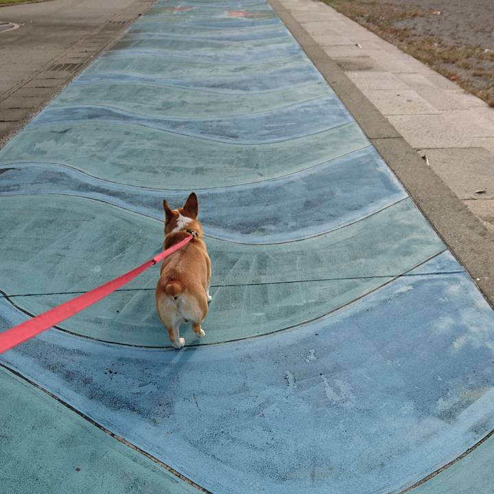 7a2747e2 4951 4cef 8ae2 33ff30b616ed 1573785023224