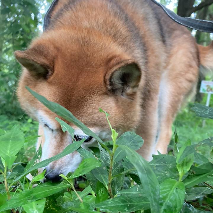 7a2778f0 f7c2 4d33 a670 0f8ca73e2337 1661928346908