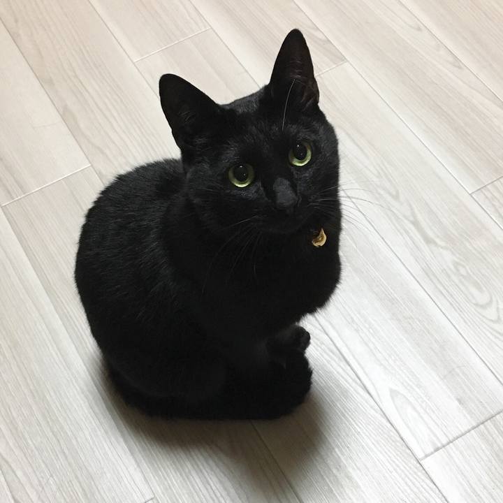 7a2796bf 094f 4702 b325 0e40d400dc48 1513244726861