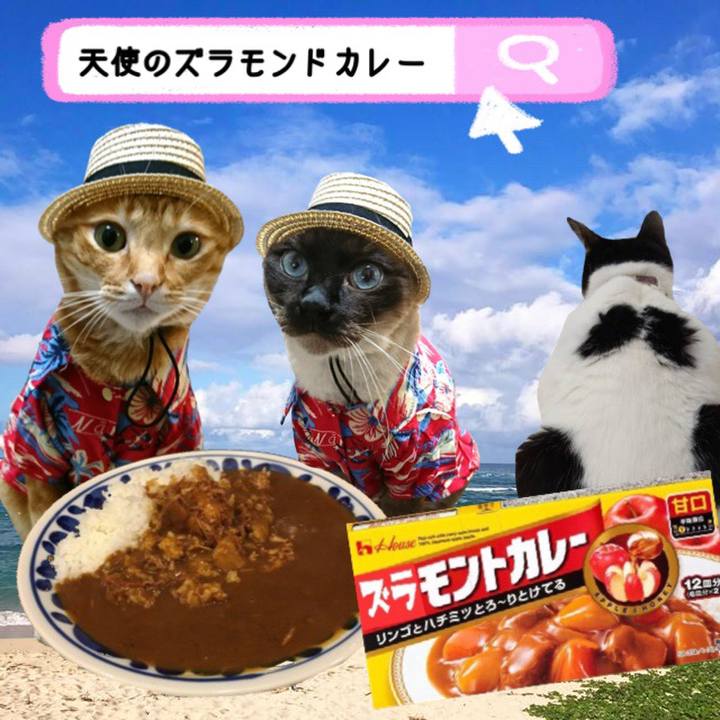 7a27ad39 e8dd 40c3 a3fb 0425cd2de659 1611615094902