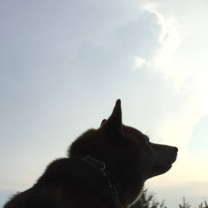 7a27b5d8 fa95 4c6f b6bf 3e8a6af4c0f8 1597568327096