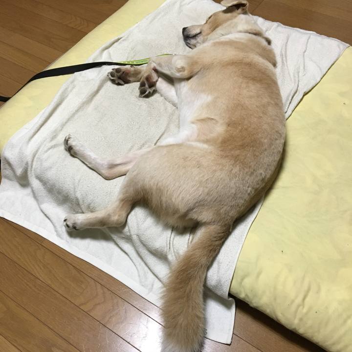 7a27d39a fd2e 44c8 9864 717e5b7ddd5d 1533299941502