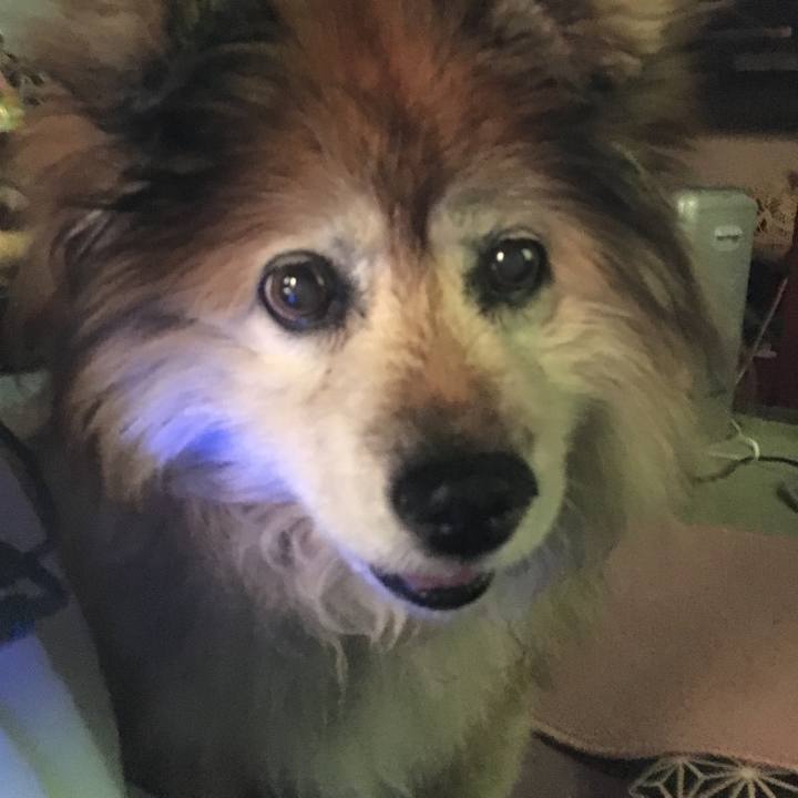 7a283a1b bf59 44bd 810e 2b9ee53f43e0 1623495293121