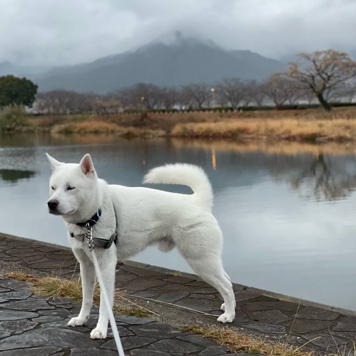 7a2879bf bd1d 4ed9 906a 8b3531606a26 1642995153355