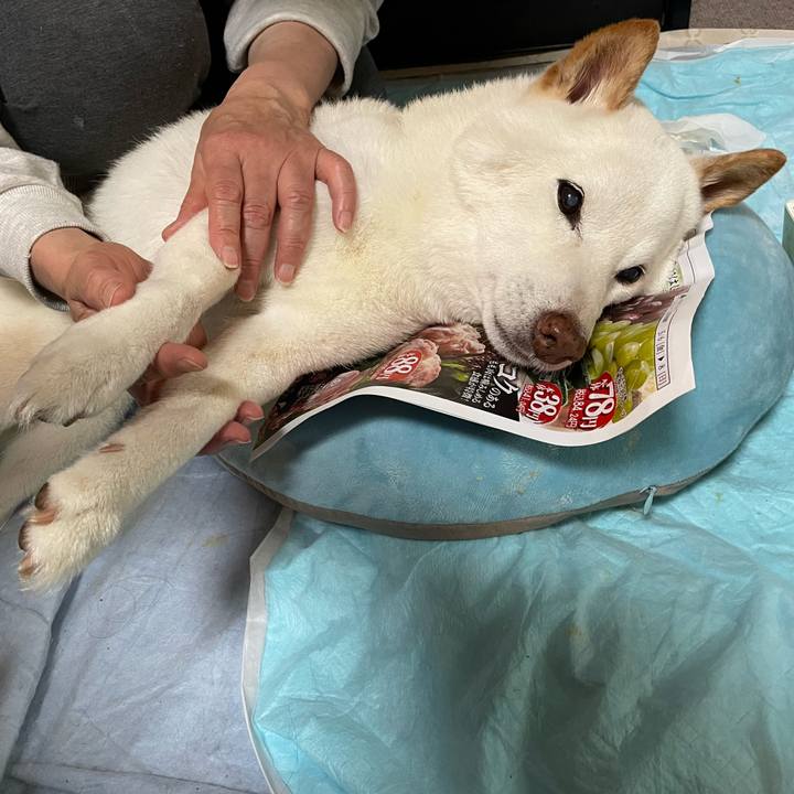 7a28815f 33b4 4be6 88ef b70c973a83ba 1652081748656