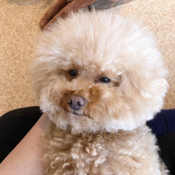 7a28ba07 47c3 4574 b09a e5f818cb8c35 1533787162734