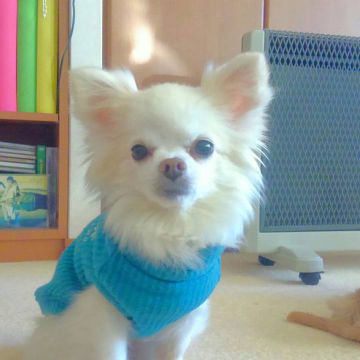 7a28d5d3 8668 4a38 8782 e1c9cd76da4f 1545604737773