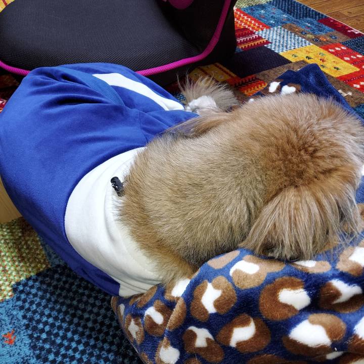 7a28d7c3 e561 4e14 80ac ad53525c5959 1644587639120