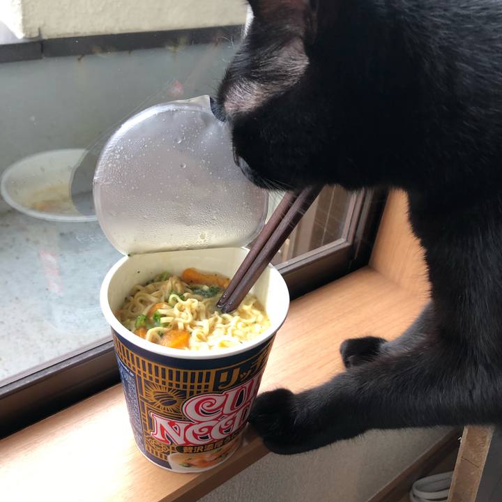 7a290019 9c6c 440e 924f addaadd03f46 1544054141475