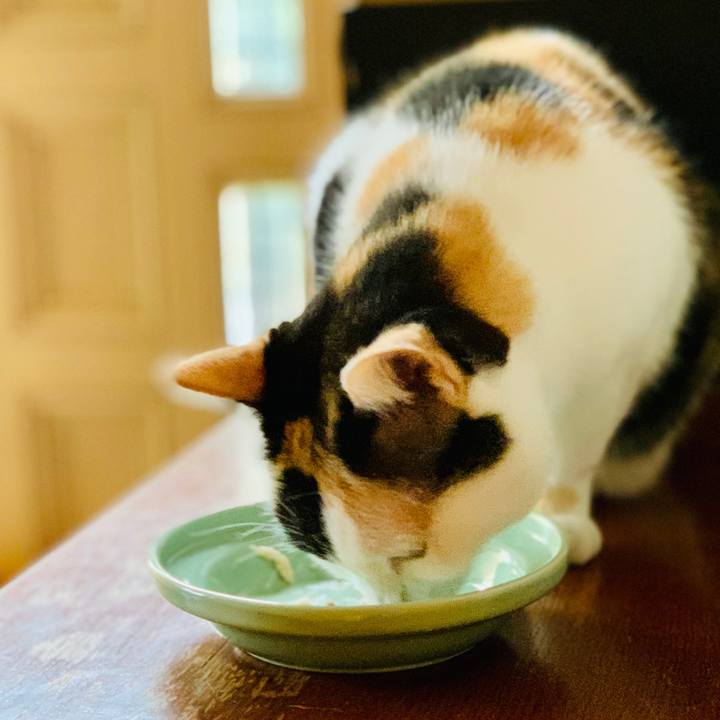 7a292bcb 0700 45f9 af9d 769bd6af0fdc 1604627031142