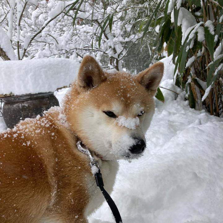 7a292e98 c48c 41ce 9e82 fac875bc8db5 1705403696012