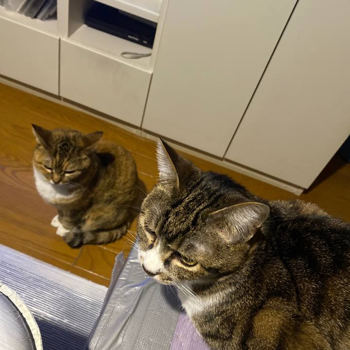 7a2932f1 f8c4 453e a71d b57aebe39e3e 1682521442833