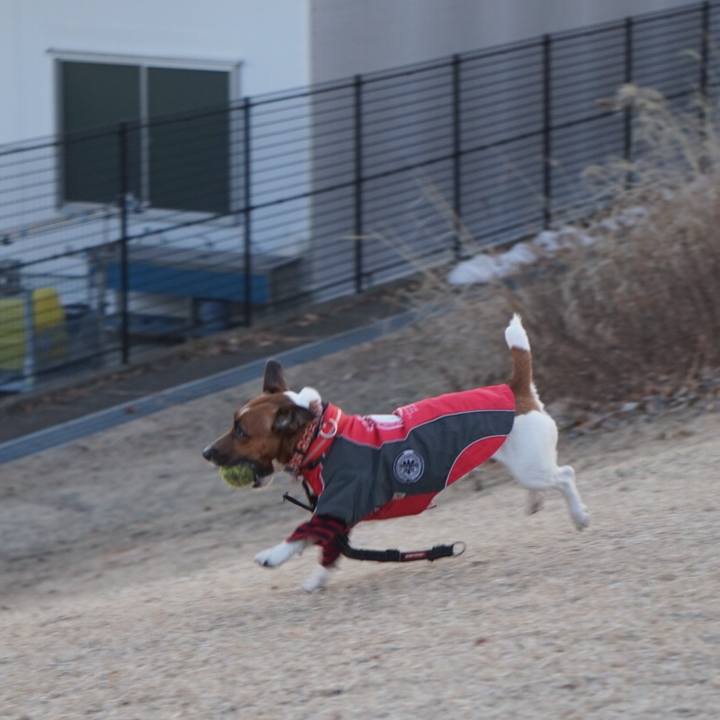 7a29463b 4c23 491a 80f0 ef12560b6b93 1518132645675