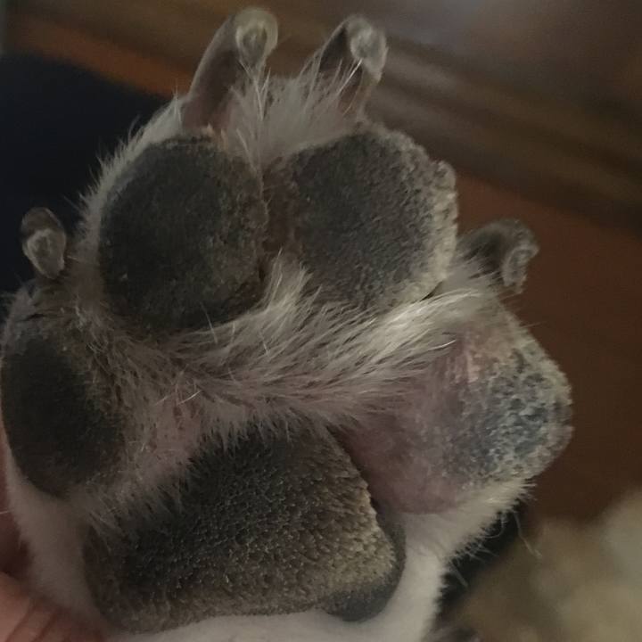 7a2976cf 742f 49bf 9af1 c45d0a434209 1632664990465